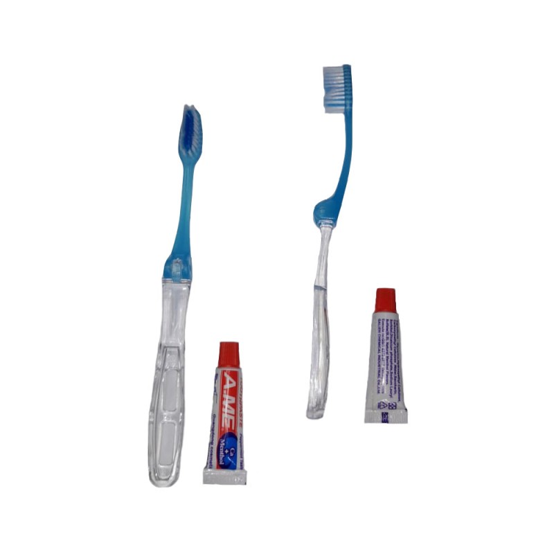 Economic travel dental set